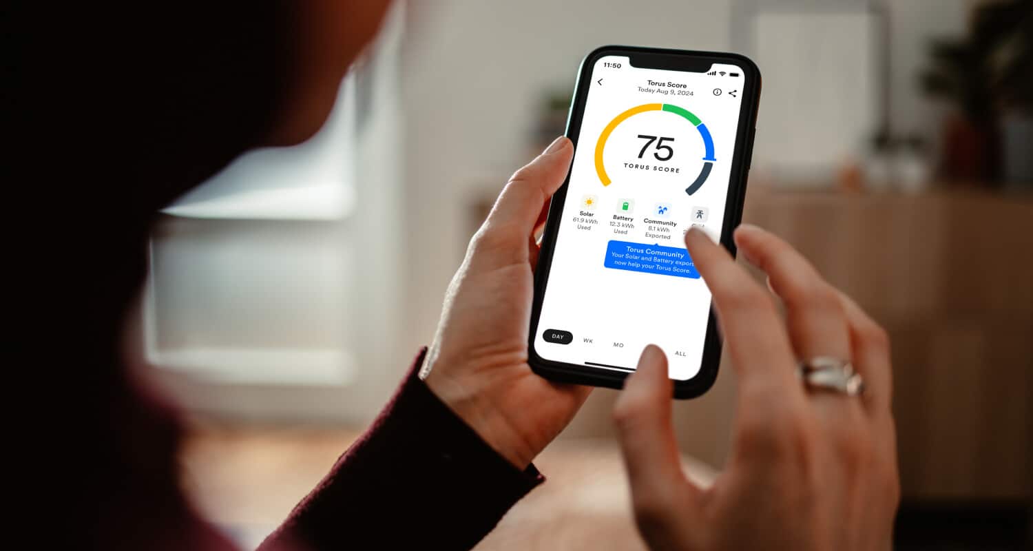 Torus Unveils Feature to Bolster Grid Resilience with